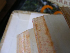 biblioteca 131 copy.jpg